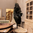 Load image into Gallery viewer, Decor at Lucky