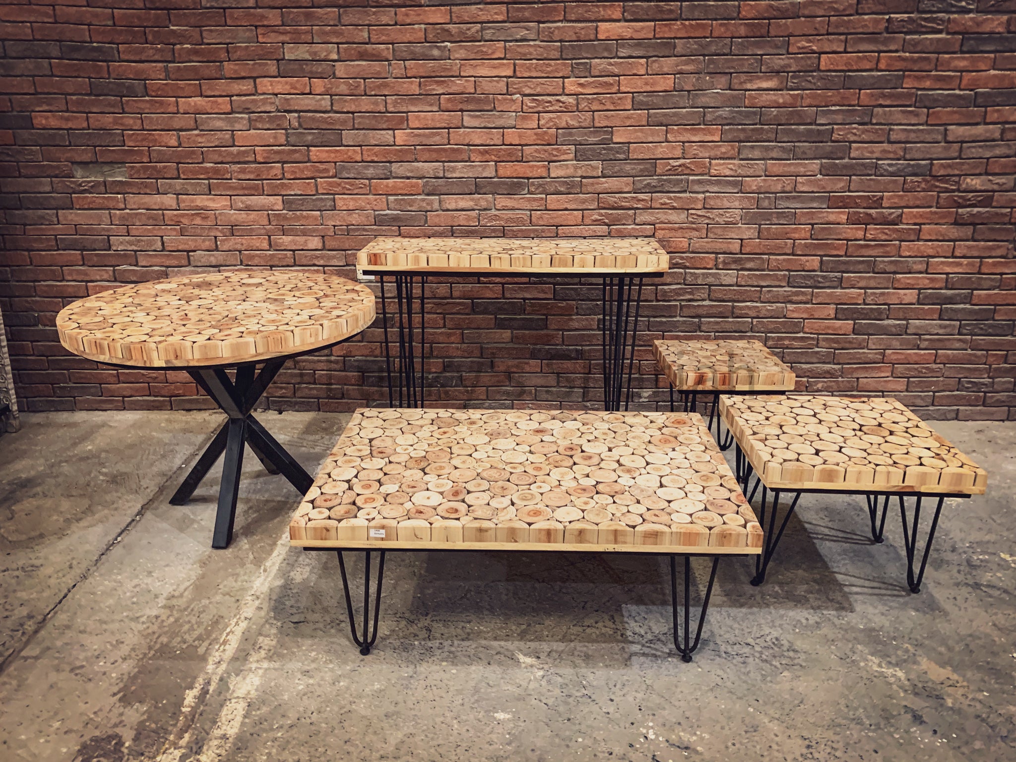 XYLO Log Pieces Collections (New Arrival).