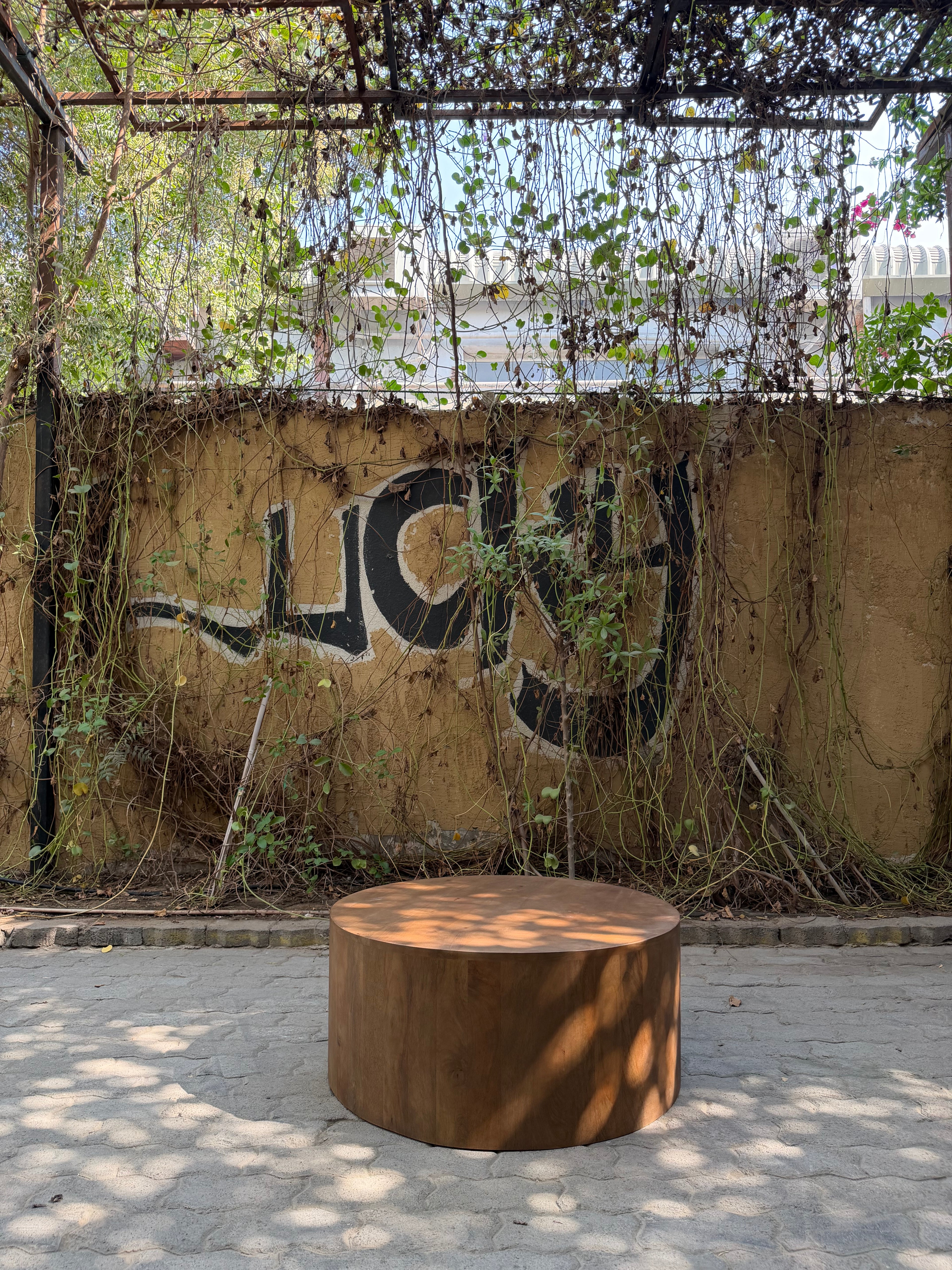 Mango wood coffee table