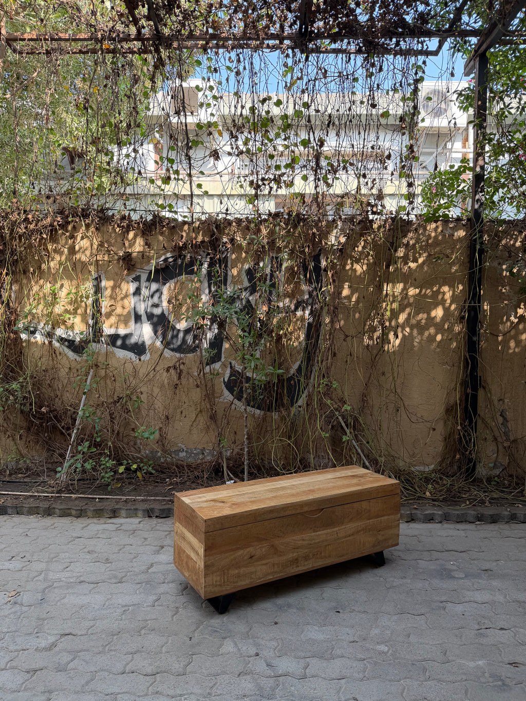 Mango wood trunk