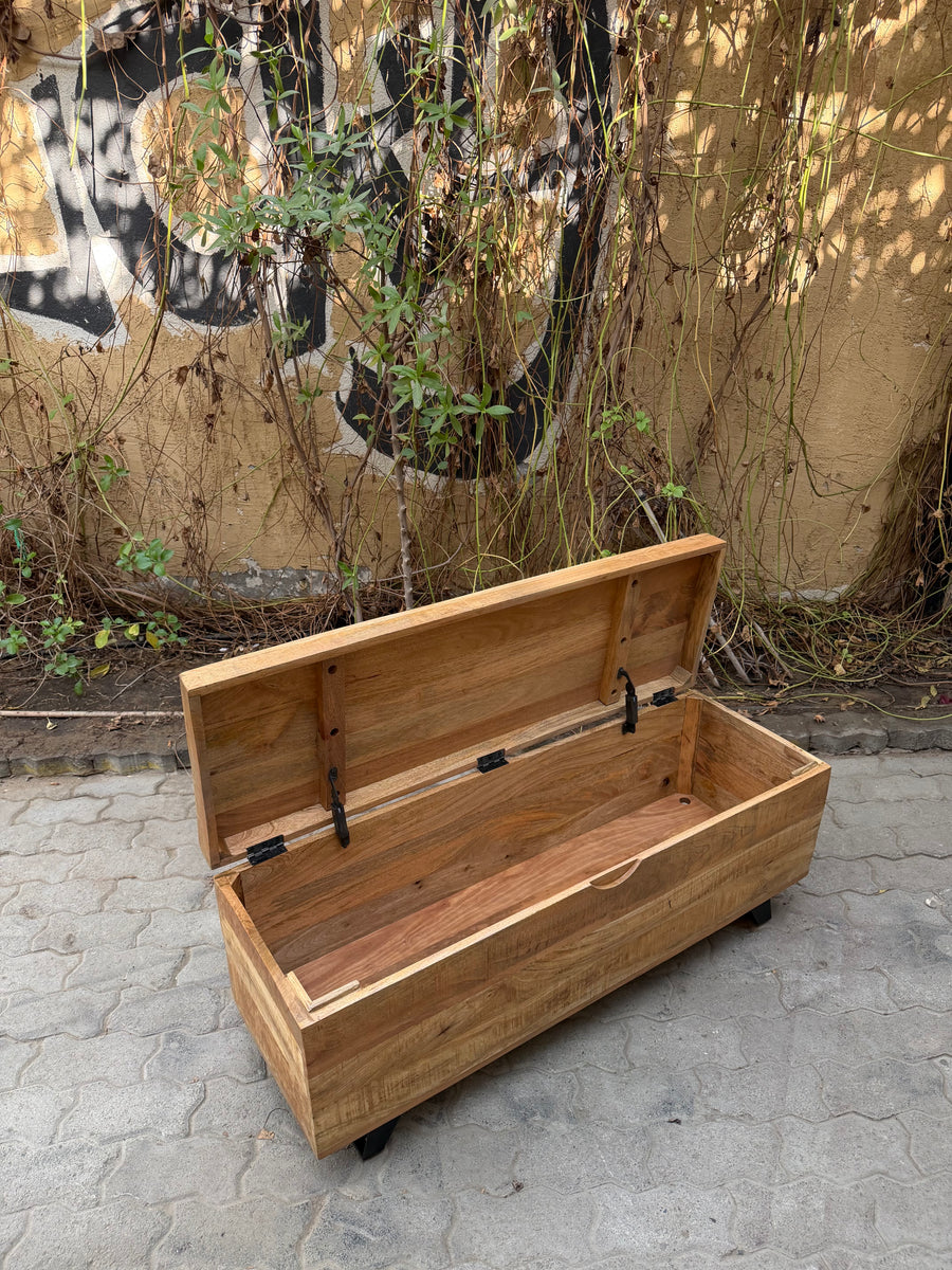 Mango wood trunk