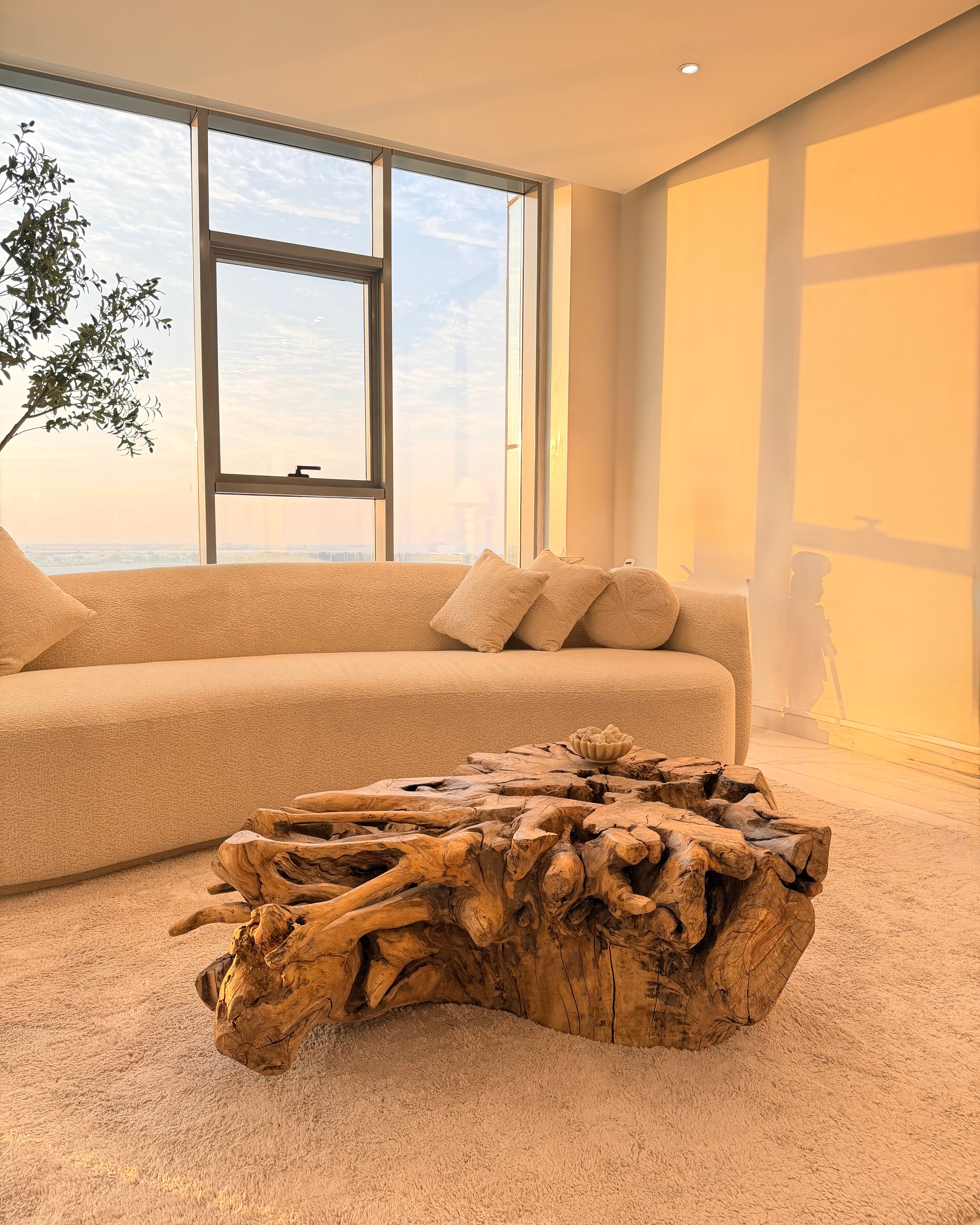 Tree root coffee table