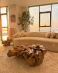 Tree root coffee table