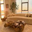 Load image into Gallery viewer, Tree root coffee table
