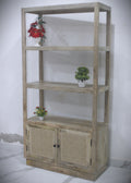 Rattan 2 door bookshelf