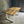 Load image into Gallery viewer, Live Edge Mango Wood Dining Table U White legs
