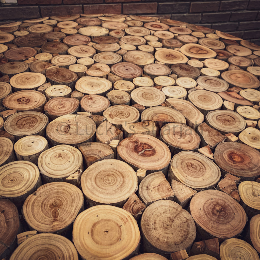 XYLO Log Pieces Round Table | Lucky Furniture & Handicrafts.