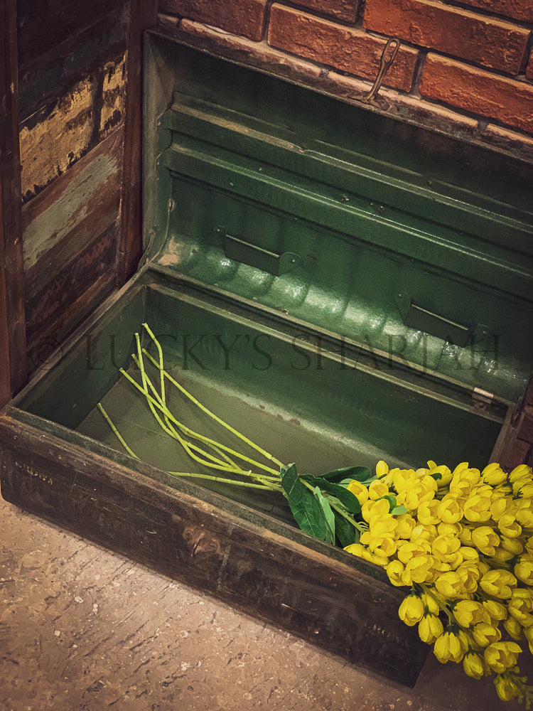 Shutter Design Cabinet with drawers | Lucky Furniture & Handicrafts.