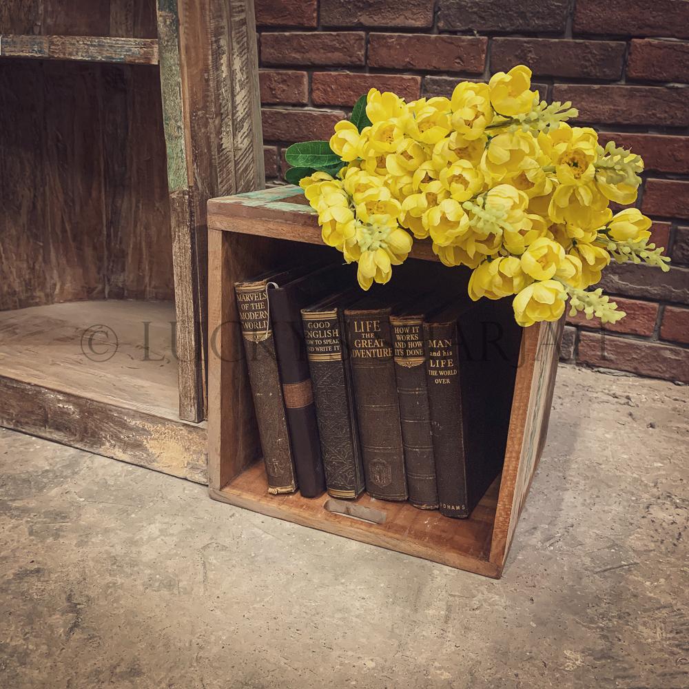 Canoe bookshelf | Lucky Furniture & Handicrafts.