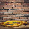 Fish design handpainted tray | Lucky Furniture & Handicrafts.