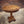 Load image into Gallery viewer, Mango wood round table pedestal | Lucky Furniture &amp; Handicrafts.
